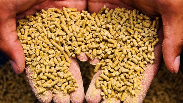 مكونات الأعلاف -