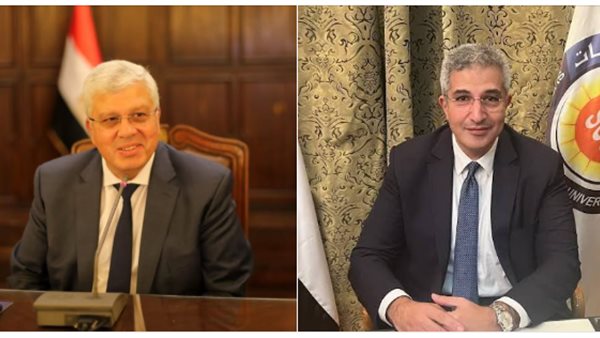 الدكتور أيمن عاشور