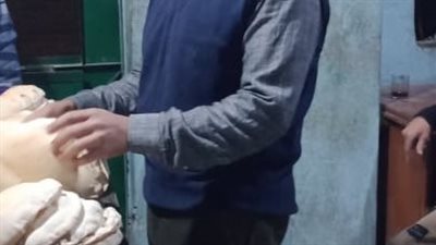 لإنقاص وزن الخبز.. تحرير 7 محاضر لمخابز مخالفة في دسوق بكفر الشيخ 