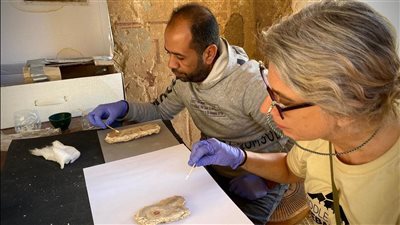بعثة أثرية تكشف أسرار اللوحات الجدارية الملونة منذ 3000 عام في طيبة الغربية 