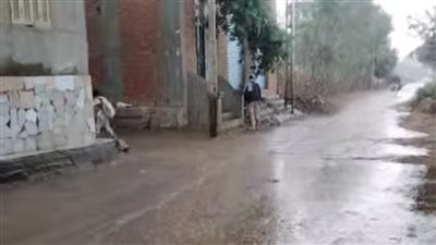 أمطار غزيرة على بعض المناطق في المنوفية.. والمحليات تعلن حالة الطوارئ
