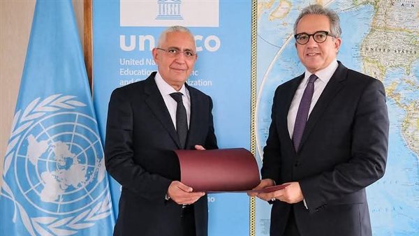 العناني وسفير مصر