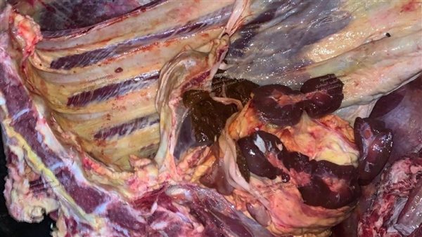 ضبط لحوم غير صالحة