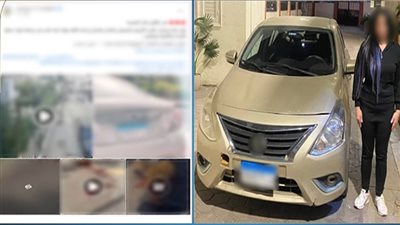 دون قصد.. الداخلية تكشف تفاصيل ادعاء تعمد سيدة دهس كلب ضال في الإسكندرية 