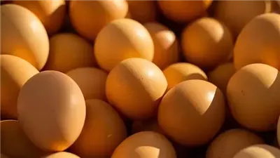 لماذا يحتاج جسمك إلى المزيد من البروتين؟.. كيفية إضافته لنظامك الغذائي