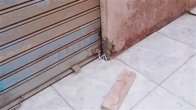 بالشمع الأحمر.. المنوفية تشن حملة لغلق المحلات غير المرخصة