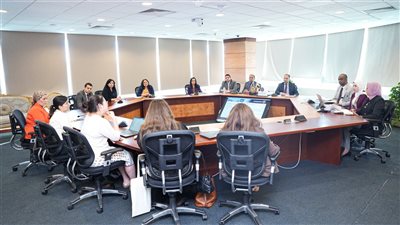 الرقابة المالية والبنك الدولي يناقشان تنظيمات وتشريعات تمويل المشروعات المتوسطة والصغيرة ومتناهية الصغر