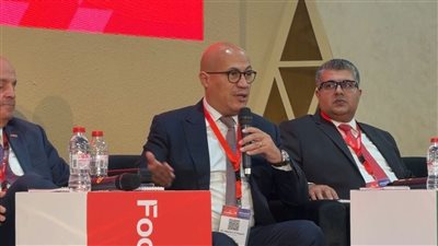 تصديري الحاصلات الزراعية: مصر قادرة على التوسع بمنتجاتها الزراعية في الأسواق الخارجية