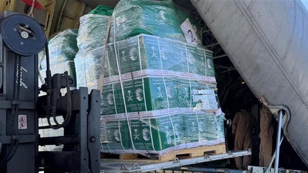 الطائرة السعودية