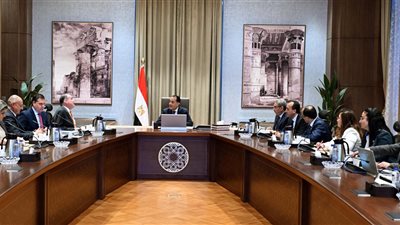 رئيس الوزراء يلتقي رئيس مجلس إدارة شركة بلومبرج جرين لبحث التعاون المشترك 