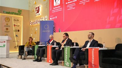 مؤسسة التمويل الإيطالية تدرس إمكانية تقديم دعم مباشر للشركات المصرية لتمويل خطط التوسع