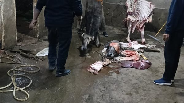 حملة تموينية مكبرة