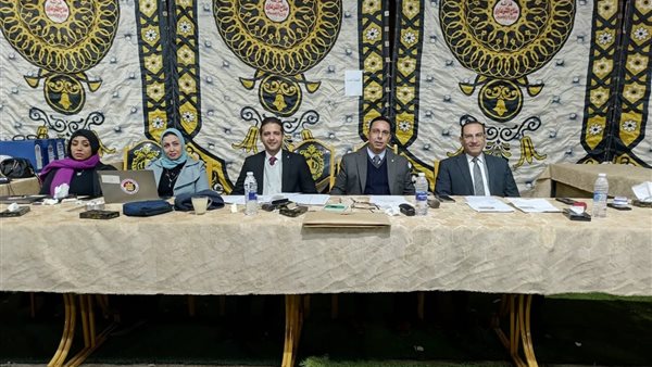 الدوائر الانتخابية