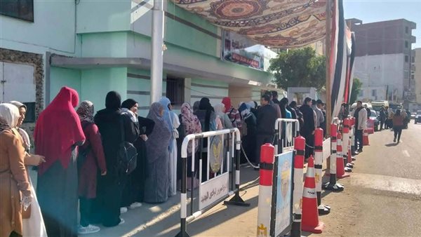 انتخابات الوادى الجديد