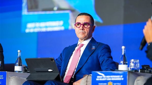 وزير الاستثمار