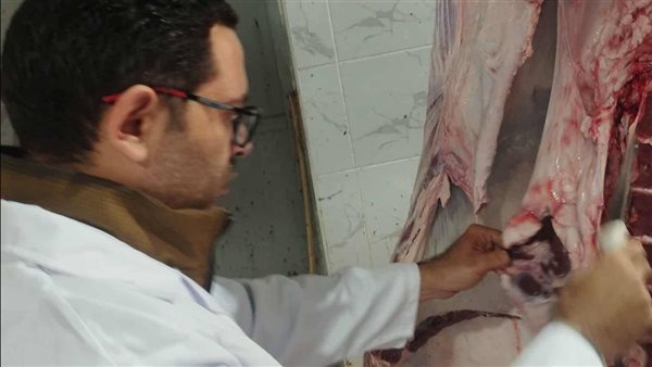 حملة بيطرية بأسيوط