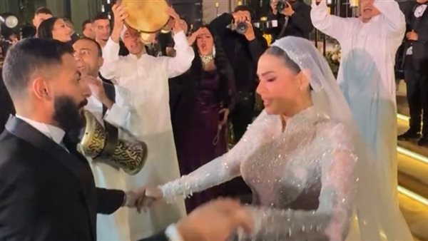 ابنة محمد هنيدي