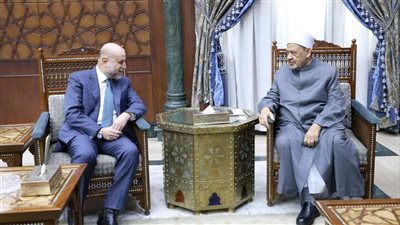 شيخ الأزهر خلال استقباله قاضي قضاة فلسطين: لم ولن ندخر جهدًا في التعريف بحقوق الشعب الفلسطيني المظلوم