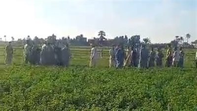 بسبب قطعة أرض.. القبض على 8 أشخاص إثر مشاجرة بين عائلتين في قنا