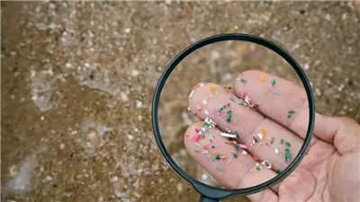 باحثون يبتكرون بلاستيك نباتيا غير مضر بالصحة 