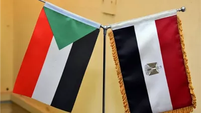 3.3 مليون دولار حجم استثمارات السودان في مصر خلال 2024/2025