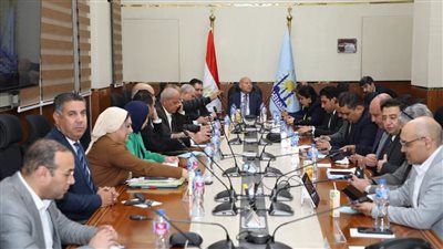 محافظ القاهرة: غلق جميع لجان انتخاب النواب في جولة الإعادة وبدء أعمال الفرز