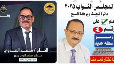 فوز هشام عبد الواحد ومحمد العدوي بدائرة بركة السبع وقويسنا