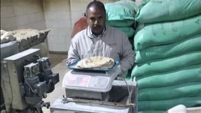تلاعبوا في وزن الخبز.. تحرير 8 محاضر ضد مخابز بكفر الشيخ