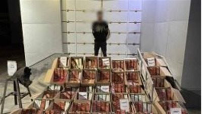 ضبط تاجر بحوزته 800 ألف قطعة ألعاب نارية في الفيوم 