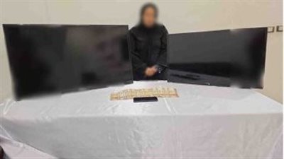 القبض على الخادمة المتهمة بسرقة فيلا دبلوماسي في منشأة القناطر