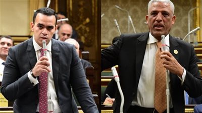 محمود توشكى ومحمد الحسيني يطعنان على نتيجة انتخابات النواب في دائرة بولاق الدكرور