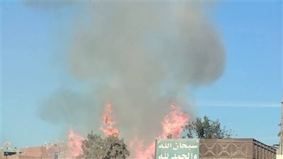 السيطرة على حريق أشجار وحشائش في مدرسة مهجورة بـ شبين القناطر