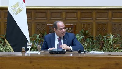 السيسي: المواطن الإفريقي الأكثر قدرة على التحمل والصبر.. والتنمية تتطلب الاستقرار