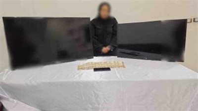 حبس الخادمة المتهمة بسرقة فيلا دبلوماسي في منشأة القناطر