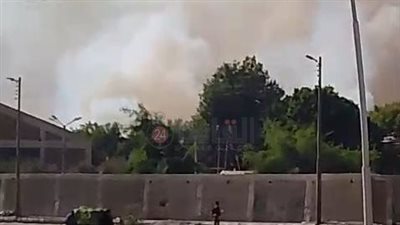 أهالي قوص بقنا يستغيثون بسبب مصنع ورق: أولادنا في خطر من حرق المخلفات