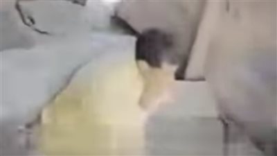  7 مقاطع.. كاميرات المراقبة تحل لغز مقتل شخص وتقطيعه لأجزاء بالإسكندرية |تحقيقات