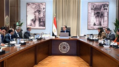 مدبولي: توجيهات من الرئيس بضرورة توفير مختلف أوجه الدعم المطلوبة لمشروعات الطاقة المتجددة 