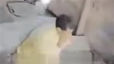 حرق جثمانه ودفن رأسه أسفل المرحاض.. اعترافات صادمة للمتهم بإنهاء حياة صديقه بالإسكندرية|تحقيقات 