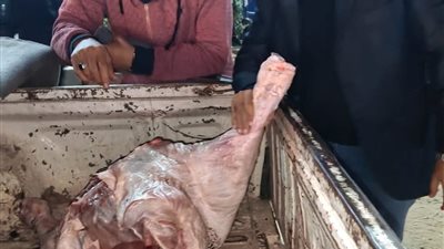 جانب من المضبوطات     