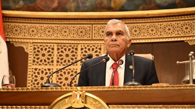 الجلسة العامة لمجلس الشيوخ    