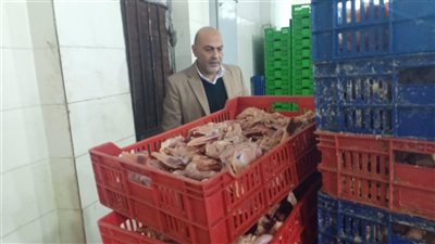 ضبط 16 طن دواجن غير صالحة للاستهلاك الآدمي في حملة تموينية بالقليوبية