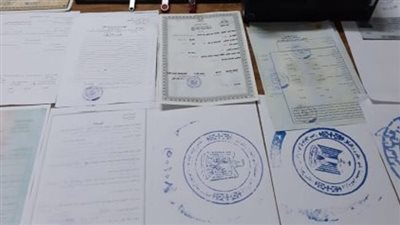 شهادات مزورة في طب التجميل.. ضبط مديرة كيان تعليمي وهمي بمدينة نصر