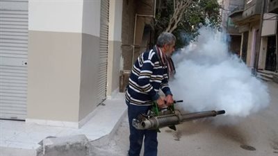 بعد ظهور النمل الأبيض بـ إسنا.. حملات مكثفة لمطاردة الحشرات في الأقصر وتطهير حي شرق