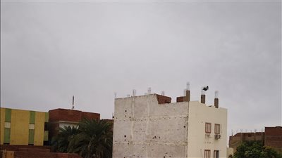 رفع درجة الاستعداد في الوادي الجديد تحسبًا لسقوط أمطار