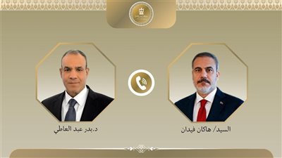 وزير الخارجية يؤكد لنظيره التركي أهمية تثبيت وقف إطلاق النار والانتقال للمرحلة الثانية من اتفاق شرم الشيخ