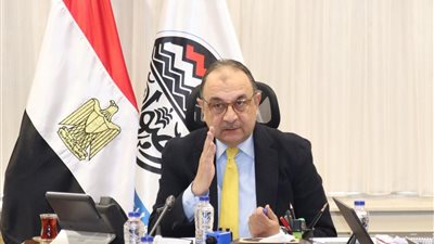 وزير قطاع الأعمال