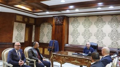 محافظ المنيا 