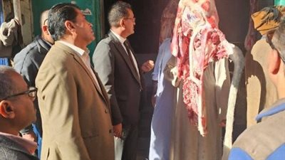 سقوط جزارين في الأقصر بتهمة تزوير الأختام لترويج لحوم خارج السلخانة