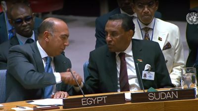 القاهرة والخرطوم إيد واحدة في مجلس الأمن.. احتفاء سوداني بكلمة مصر دعما للسودان