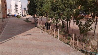 جهاز تنمية العبور الجديدة يواصل تنفيذ خطة شاملة لرفع كفاءة الخدمات وتحسين المظهر الحضاري